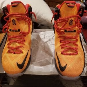Lebron 12 Witness